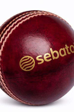 alum tanned leather cricket ball